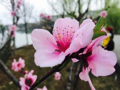 -江南大学(蠡湖校区)