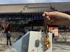 -大慈恩寺(大雁塔)