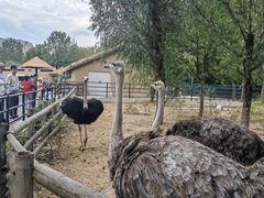 -大连森林动物园