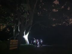 -共青国家森林公园-售票处