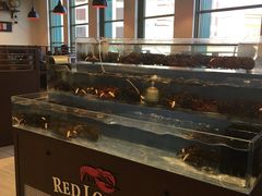 -RED LOBSTER(环球影城大阪店)