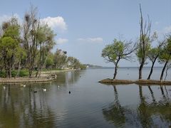 -洱海月湿地公园