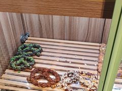 -野上麦田(中贸广场店)