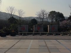 -香雪海