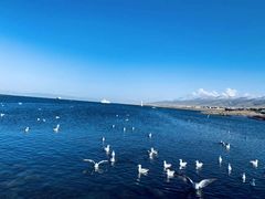 -青海湖国家重点风景名胜区