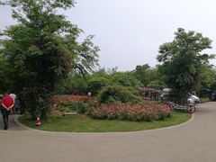 -鹅湖玫瑰文化园