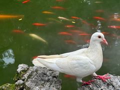 -善卷洞风景区