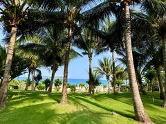 -瑰丽酒店·海吧·天际下午茶·现场DJ·天台酒吧