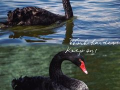 -春晖园度假酒店温泉