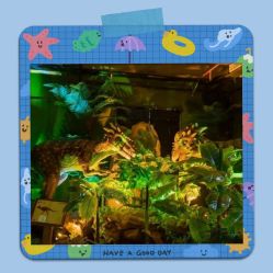 -恐龙探索乐园(磁器口店)