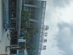 -海口东站