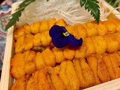 活海胆-希望日本料理(保利香槟花园店)