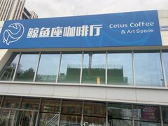 -Cetus coffee鲸鱼座咖啡·拼豆(二仙桥公园店)