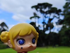 -墨尔本皇家植物园