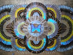 -上海昆虫博物馆