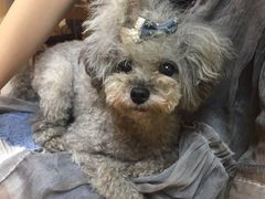 -志龙皇冠吃货椰子铺