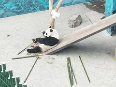 -沈阳森林动物园