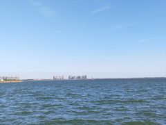 -春花秋色城市公园