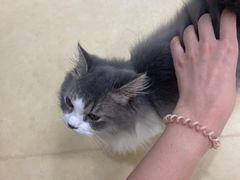 -中田健身工作室(深圳南油店)