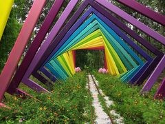 -合肥滨湖国家森林公园