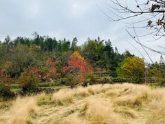 -塔川景区