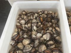 扇贝，生耗，-宾朋海鲜特色美食餐厅·纯手工鲅鱼水饺(兴海路店)