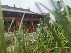 -渭南桃花源民俗文化园