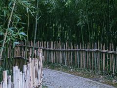 -新虹桥中心花园