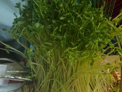 -大头椰·椰子鸡火锅(南宁万象城店)