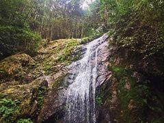 -江西阳明山国家森林公园