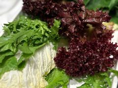 -南门四季铜锅涮肉(大屯·北苑店)