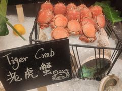 -Social 秀西餐厅-长沙瑞吉酒店(运达店)