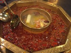 -蜀九香火锅(彩虹店)