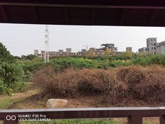 -广东花都湖国家湿地公园