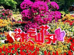 -广州市白云山风景名胜区