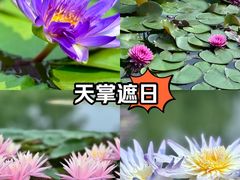 -国家植物园南园