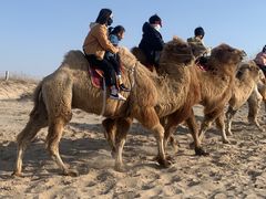 -库伦旗银沙湾旅游景区