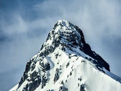 -华莱士·全鸡汉堡(常德桃源丽人街店)