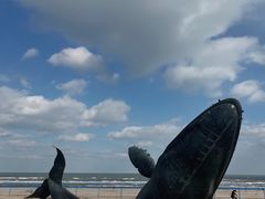 -烟台金沙滩海滨公园