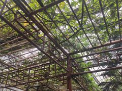 -金稼园·金平湖农家菜