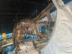 -国家自然博物馆