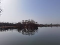 -大兴滨河森林公园