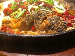 -老板恋上鱼(高新万达店)
