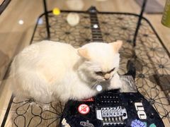 -MusicLife音乐(浦东校区)