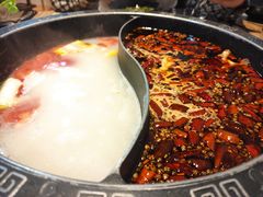 销魂美娃鸳鸯锅-销魂美蛙鱼头火锅(上海首店)