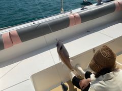 -小猫钓鱼海钓俱乐部(椰梦长廊店)