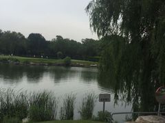 -万柳高尔夫俱乐部