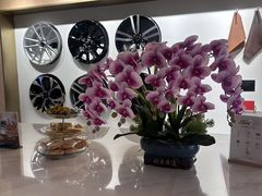 -上海协通福骋福特4S店(汶水路店)