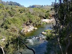 -怀托摩萤火虫洞