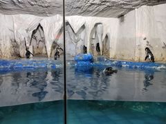 -太平洋海底世界